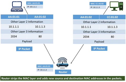 Router performing routing table lookup